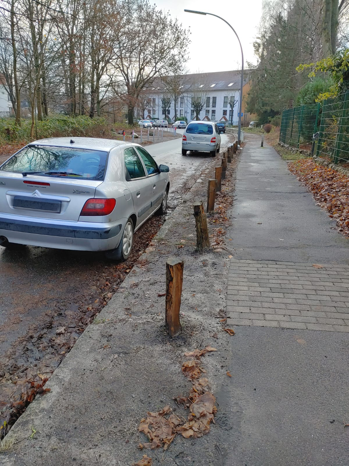 Eichenpfähle gegen Bürger-Bedarfe: FDP-Fraktion Wandsbek kritisiert Parkplatzvernichtung in der Jenfelder Straße