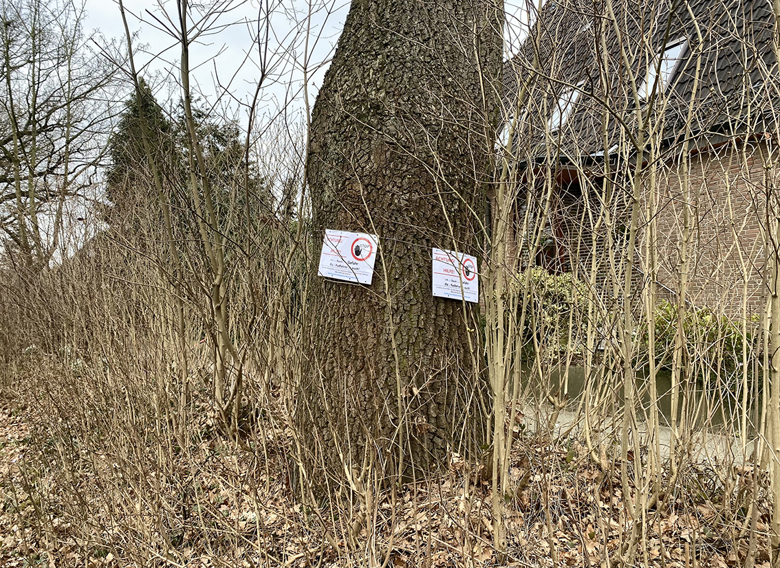 FDP-Fraktion Wandsbek zur geplanten Fällung hundertjähriger Bäume an der Straße Karlshöhe: „Senat weicht bei allen konkreten Fragen aus“